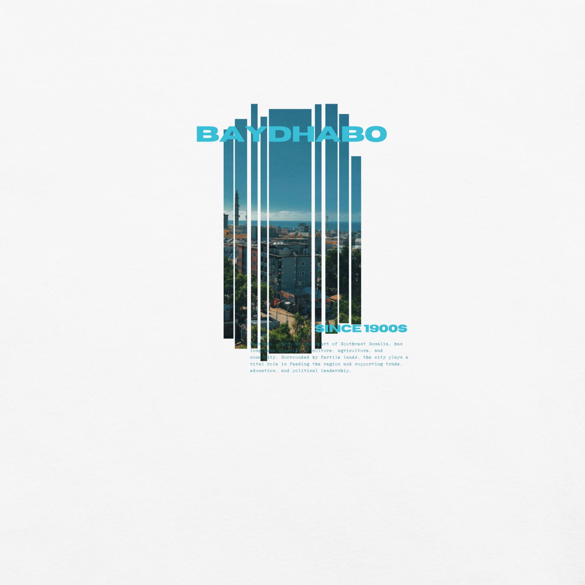 BAYDHABO Heavyweight T-Shirt