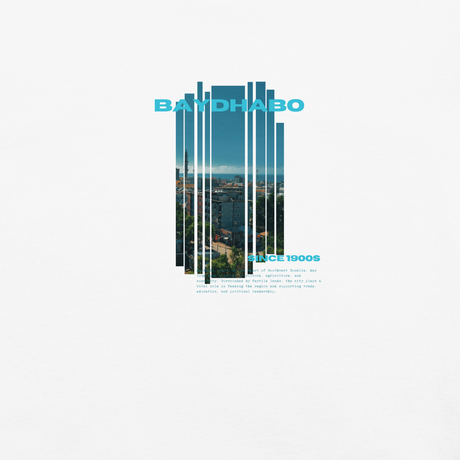 BAYDHABO Heavyweight T-Shirt